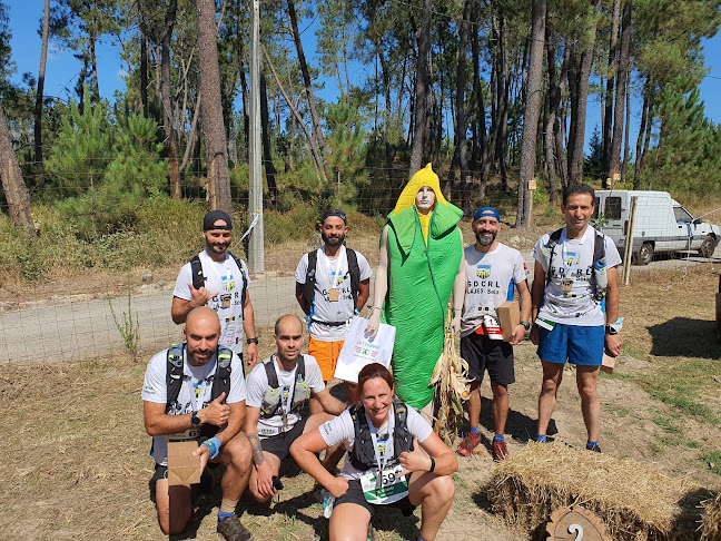 Grupo Desportivo Lajes - Bar