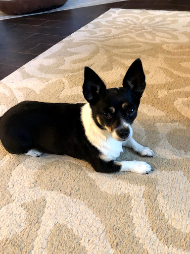 Home Insurance Agency «Roger Welch Agency, LLC», reviews and photos