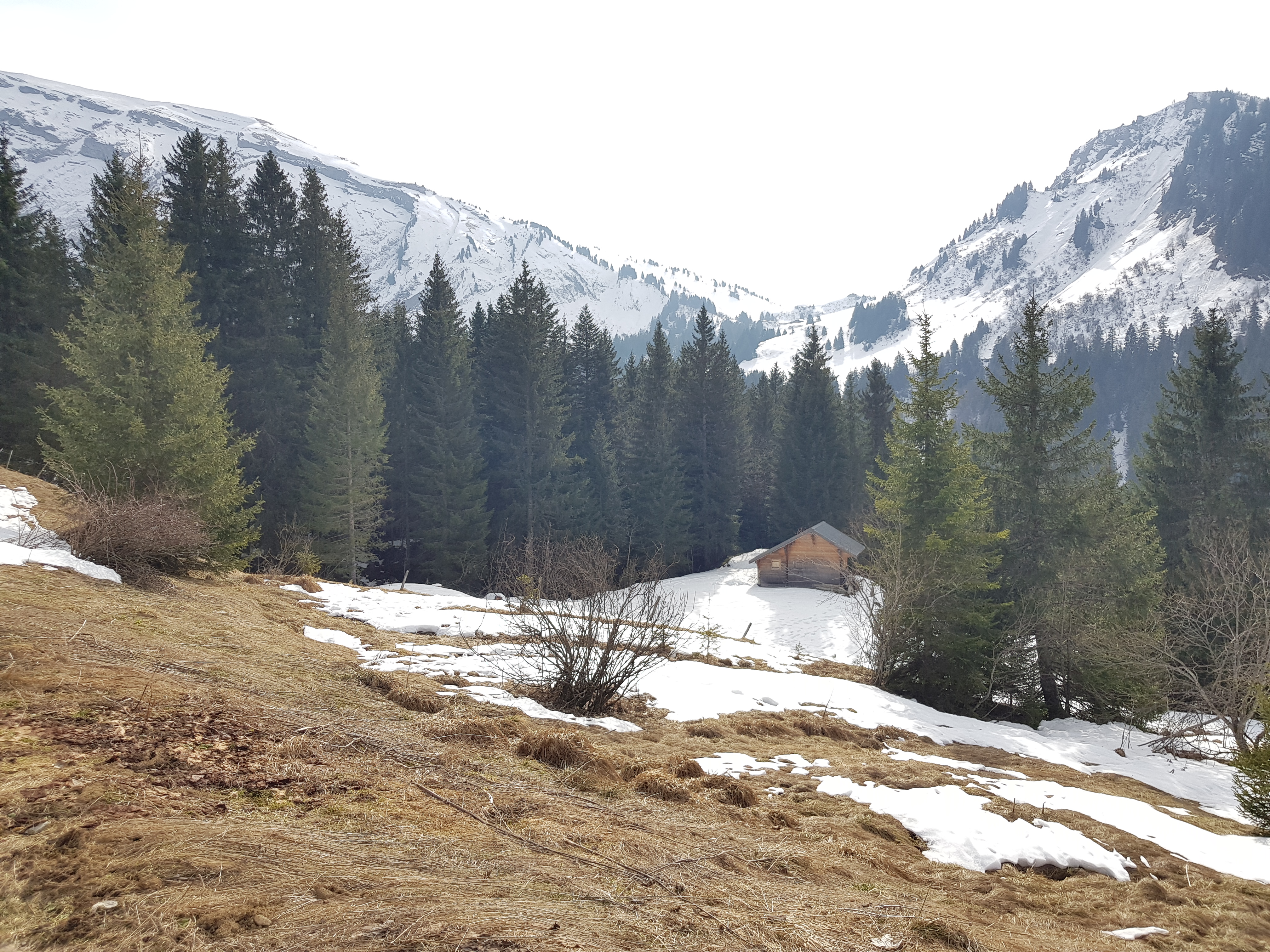 Photo n° 1 de l'avis de Seb. fait le 25/02/2023 à 15:01