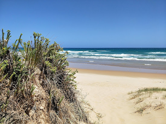 Paris Crescent Beach