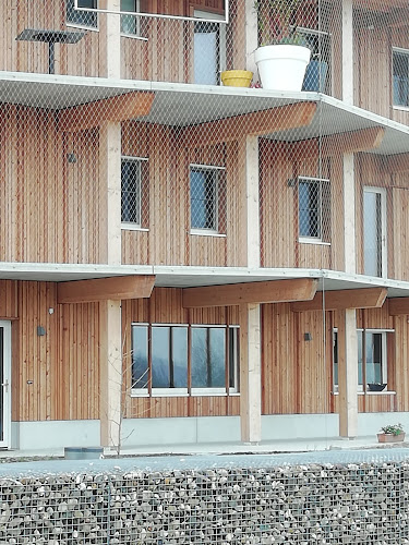 Cohousing Waasland - Architect