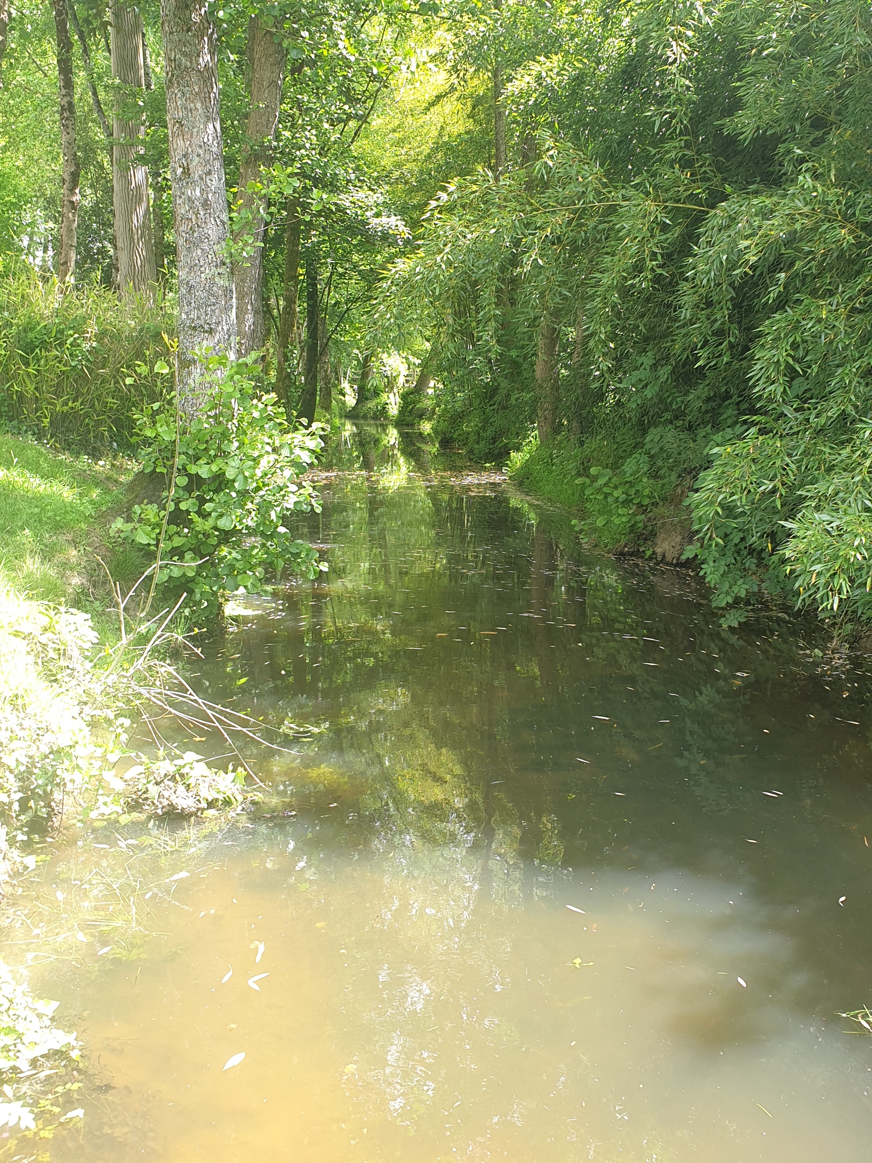 Photo n° 6 de l'avis de Ludovic.o fait le 30/05/2021 à 09:30