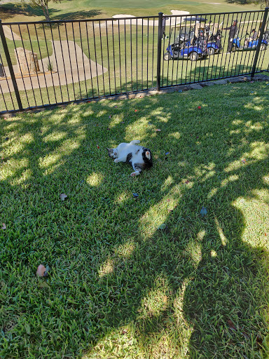 Golf Course «Hackberry Creek Country Club», reviews and photos, 1901 W Royal Ln, Irving, TX 75063, USA