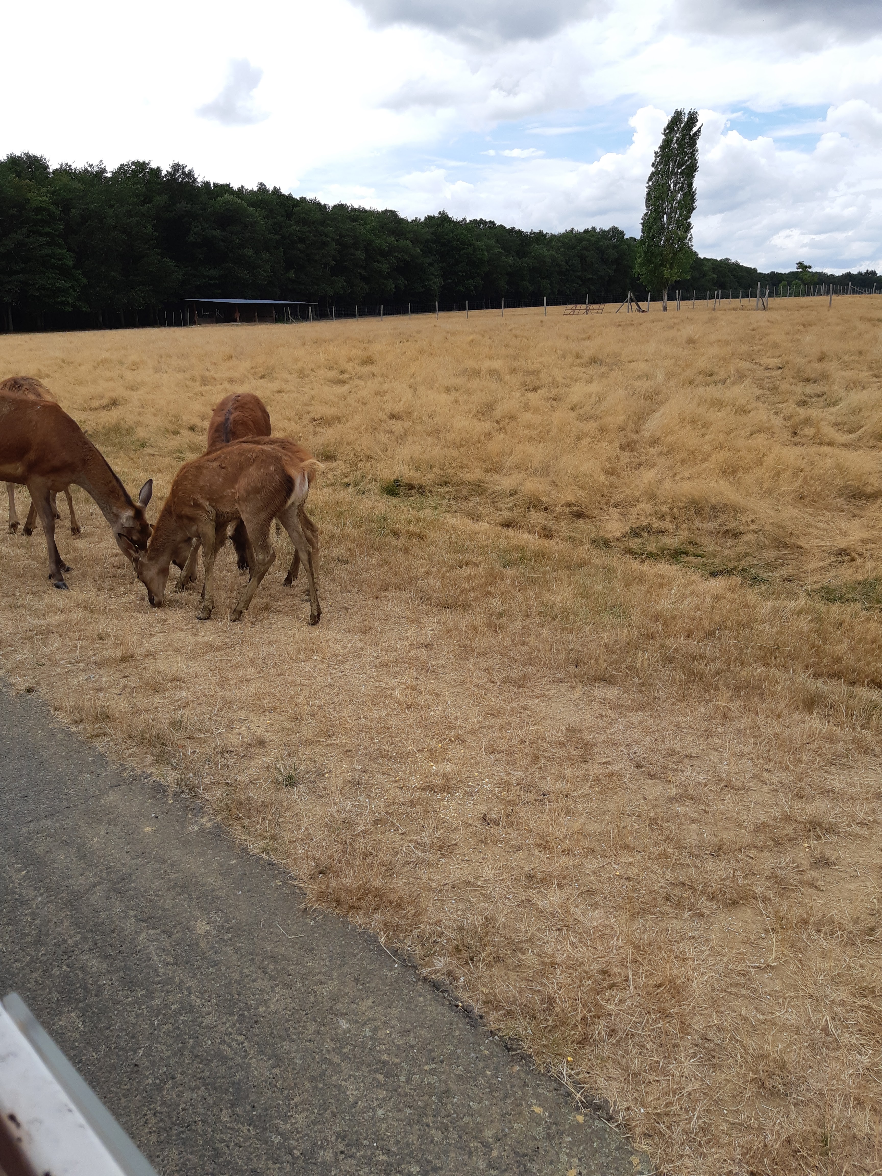 Photo n° 13 de l'avis de Carla.a fait le 10/08/2018 à 15:54