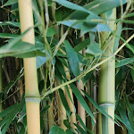 Photo n°4 de l'avis de U.S.R.. fait le 17/10/2020 à 14:25 sur le  cafetheresia | reine gaumenfreude à Simbach am Inn