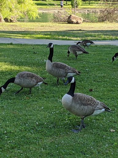 Park «Elizabeth Park», reviews and photos, 4250 Elizabeth Dr, Trenton, MI 48183, USA