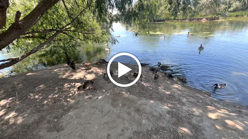 Nature Preserve «Wilson Springs Ponds», reviews and photos, 3209-3507 S Powerline Rd, Nampa, ID 83686, USA