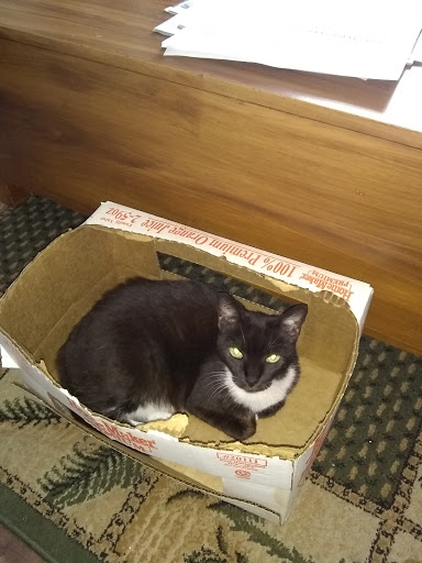 Pet Supply Store «Pet Supermarket», reviews and photos, 3806 S Dale Mabry Hwy, Tampa, FL 33629, USA