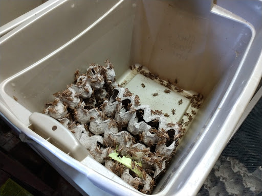 Pet Store «Sand Bar Pet Shop», reviews and photos, 25571 Marguerite Pkwy, Mission Viejo, CA 92692, USA