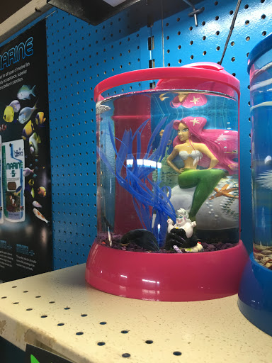 Pet Store «AquaVarium Pets And Supplies», reviews and photos, 95 W Bridge St, Catskill, NY 12414, USA