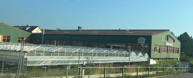 Kommentare und Rezensionen über Blumenbörse Mörschwil