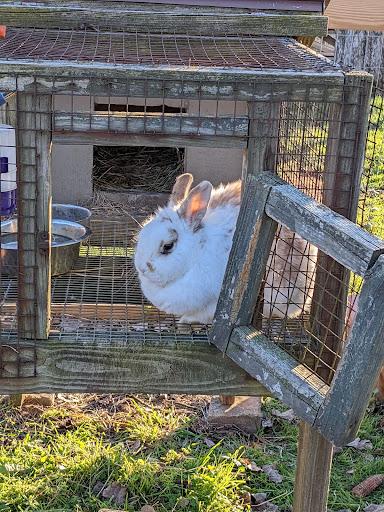 Farm «Sun High Orchards», reviews and photos, 19 Canfield Ave, Randolph, NJ 07869, USA