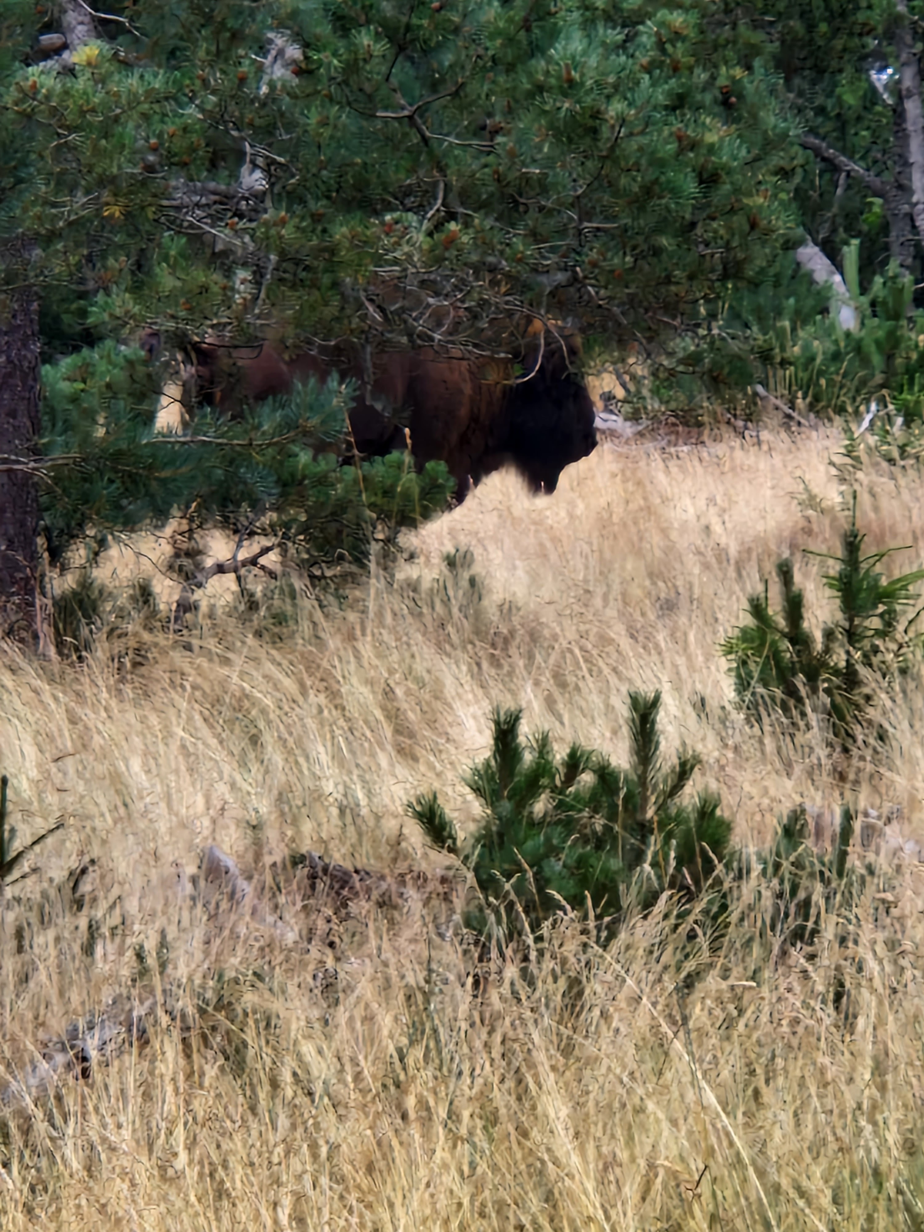 Photo n° 1 de l'avis de Jérémy.o fait le 03/08/2023 à 17:17