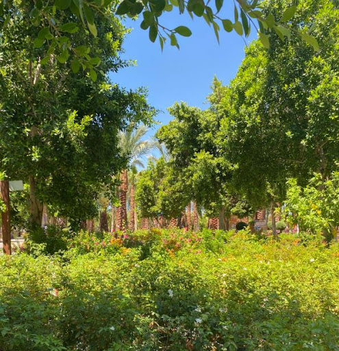 Garden Center «Moon Valley Nurseries West Valley / Avondale», reviews and photos, 11320 W Indian School Rd, Avondale, AZ 85323, USA