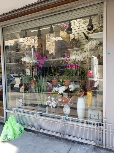 Florist «Gallery of Flowers Ny Corporation», reviews and photos, 1151 Brighton Beach Ave, Brooklyn, NY 11235, USA