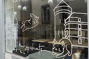 La Cour des Chats (bar à chats) image
