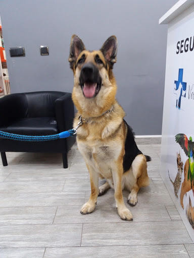 Vellcan Hospital Veterinario en Coslada