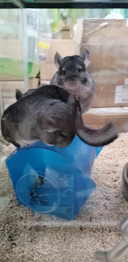 Pet Store «Pet Source 1901», reviews and photos, 1901 W 8th St B, Los Angeles, CA 90057, USA