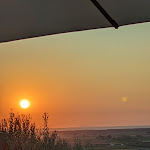 Photo n°1 de l'avis de joel. fait le 11/08/2022 à 19:48 sur le  L'Antico Frantoio Di Segalari & Agriturismo à Castagneto Carducci