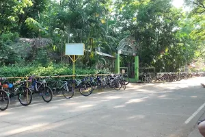 Tree House Bike Park image