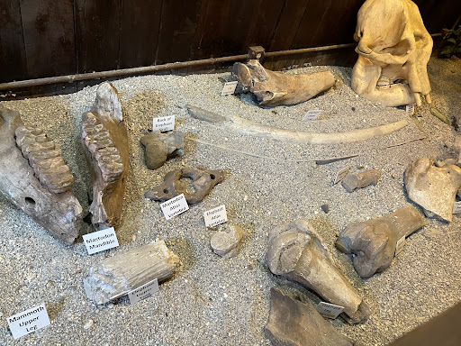 Museum «Phosphate Museum», reviews and photos, 101 SE 1st St, Mulberry, FL 33860, USA