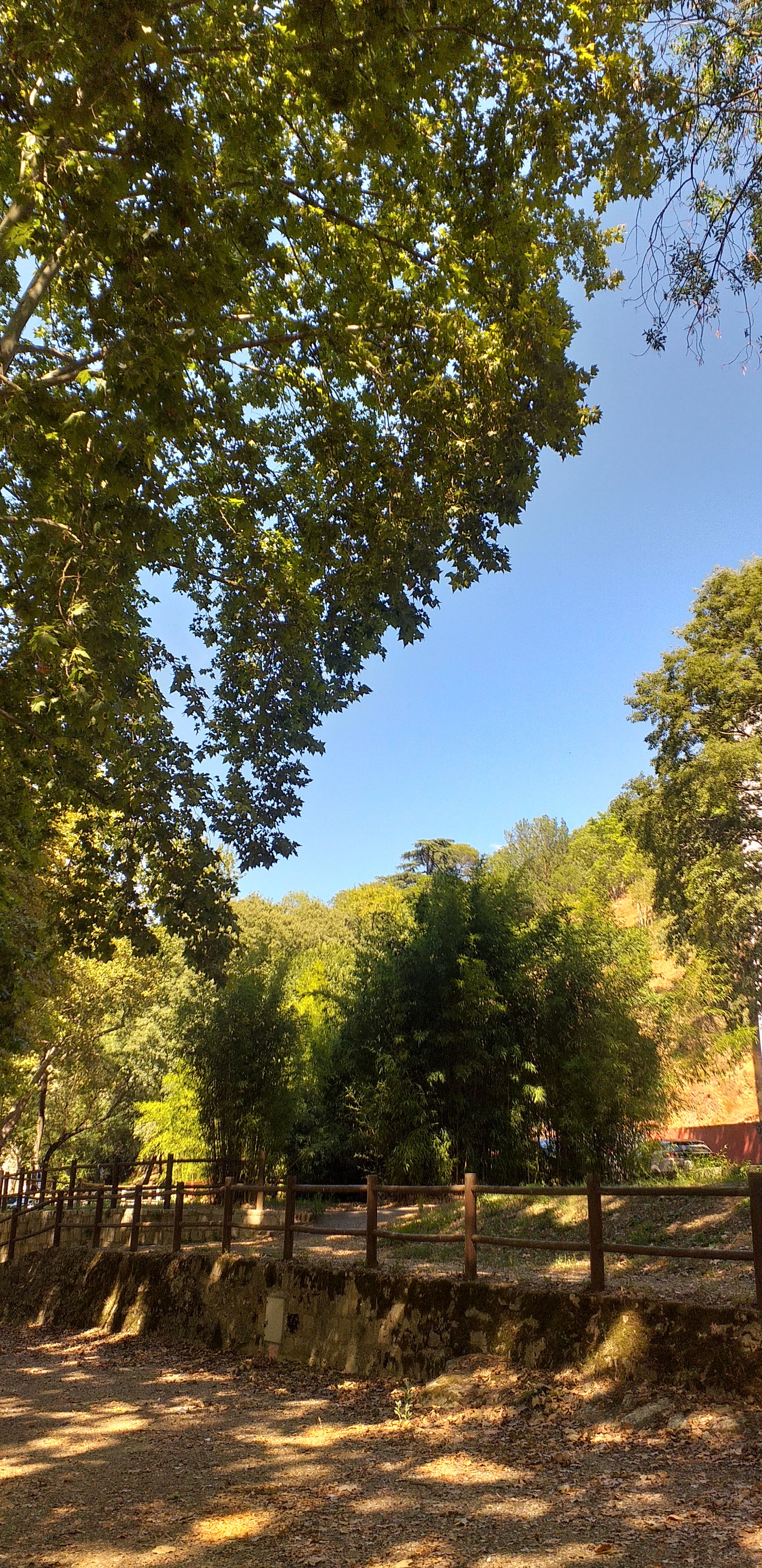 Photo n° 3 de l'avis de Murielle.h fait le 03/07/2020 à 15:12