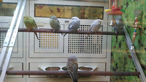 Pet Supply Store «PetSmart», reviews and photos, 4601 Outer Loop, Louisville, KY 40219, USA