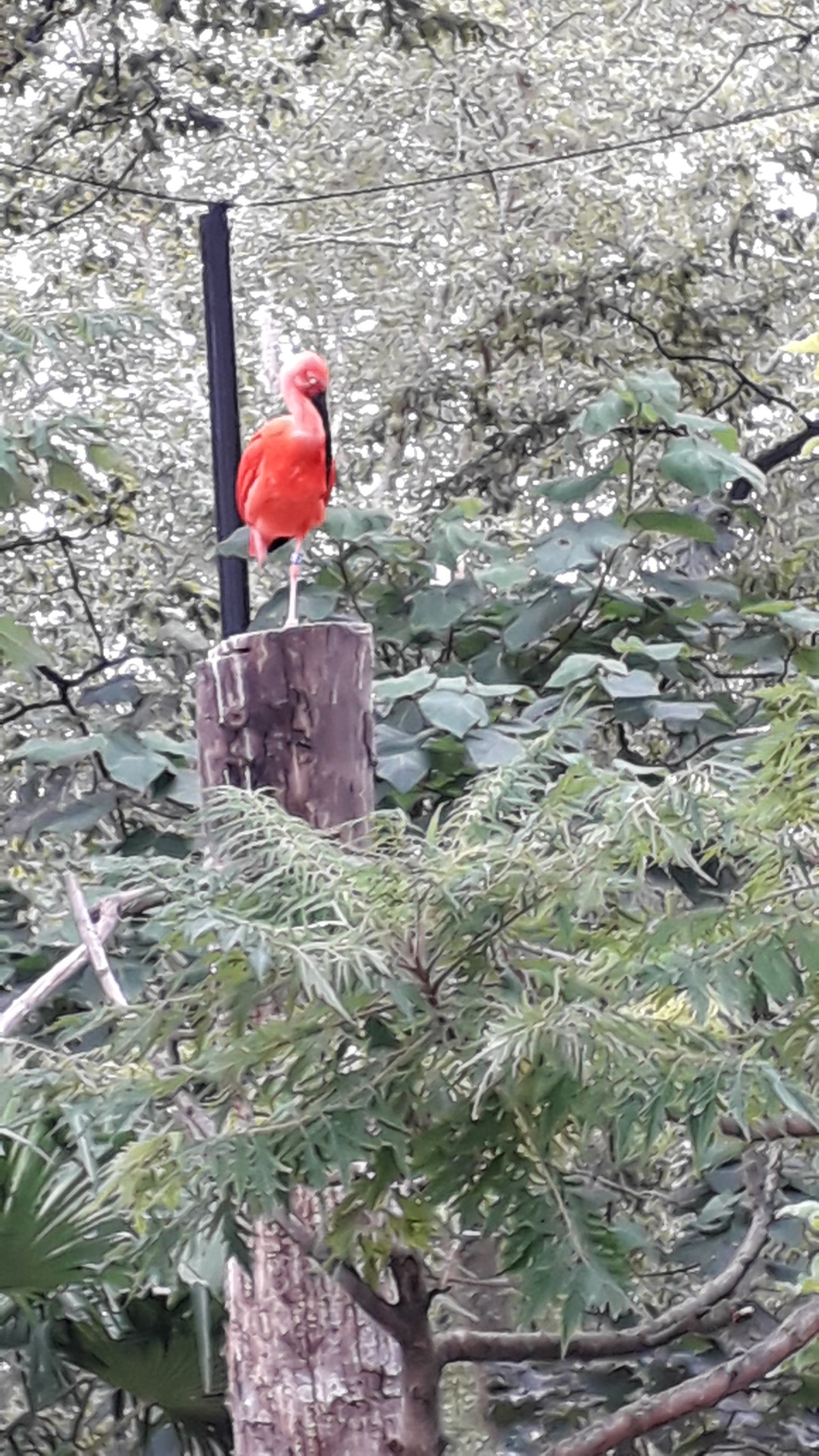 Photo n° 12 de l'avis de Catherine.C fait le 27/08/2020 à 11:42