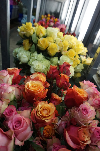 Florist «Carrollwood Florist», reviews and photos, 11745 N Dale Mabry Hwy, Tampa, FL 33618, USA