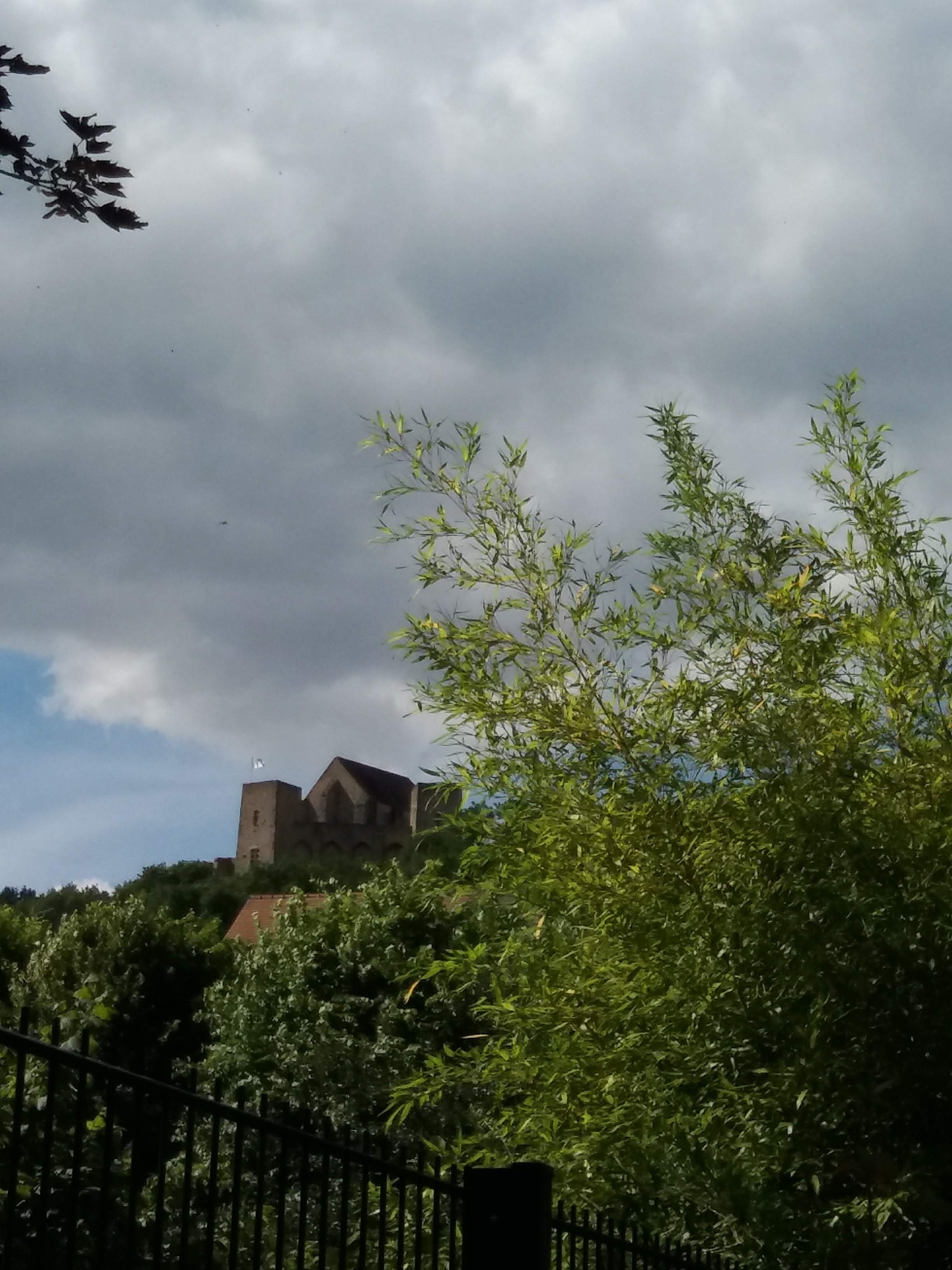Photo n° 2 de l'avis de Patrick.o fait le 15/06/2018 à 17:27