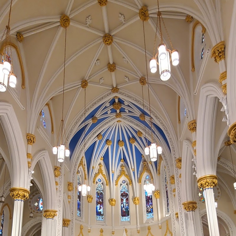 The Basilica of Saint Mary of the Immaculate Conception