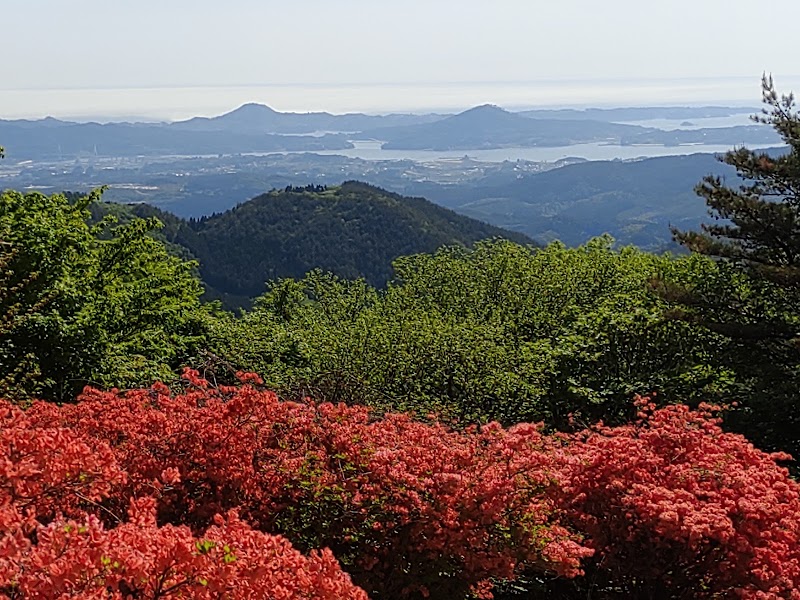 徳仙丈山 つつじが原 (ツツジ群生地)