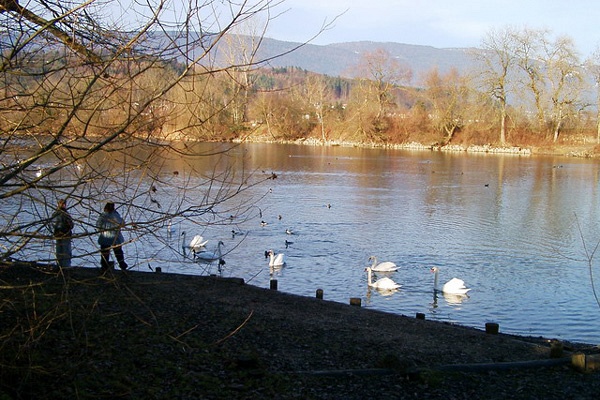 Berg 5, 2554 Meinisberg, Schweiz