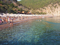 Foto di Kraljichina beach ubicato in zona naturale
