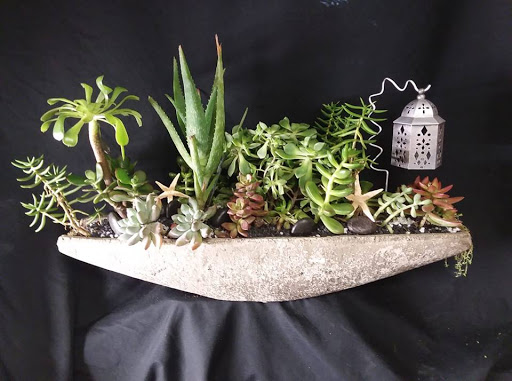 Florist «Pismo Beach Florist», reviews and photos, 695 Price St, Pismo Beach, CA 93449, USA