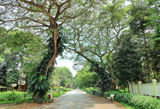 Top 20 cửa hàng kẹo ngọt Huyện Tháp Mười Đồng Tháp 2022