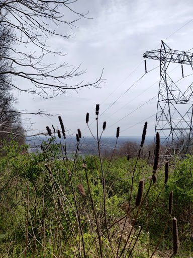 Park «Hocker Park», reviews and photos, Blue Mountain Pkwy, Harrisburg, PA 17112, USA