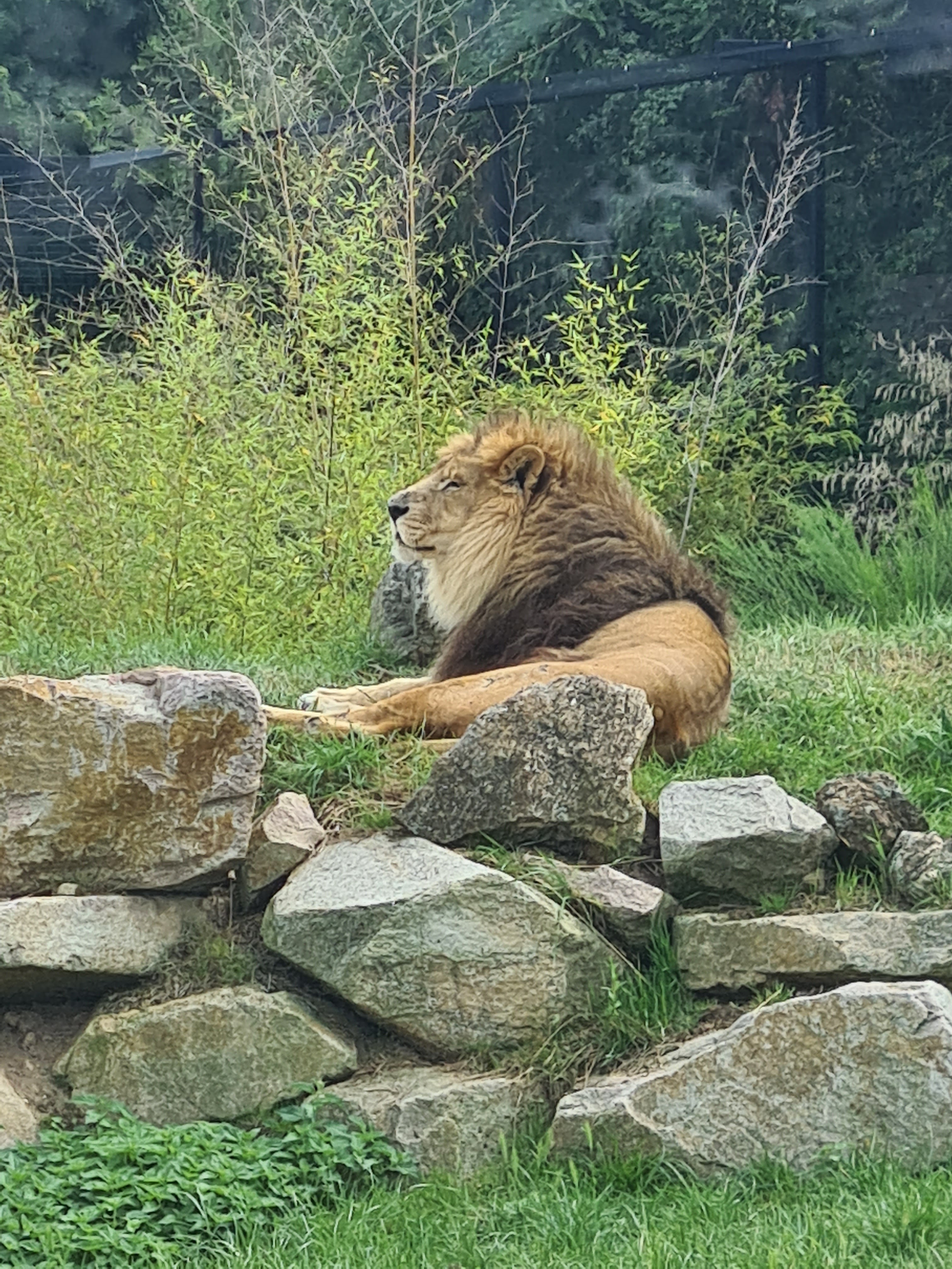Photo n° 2 de l'avis de christophe.a fait le 05/08/2021 à 16:49