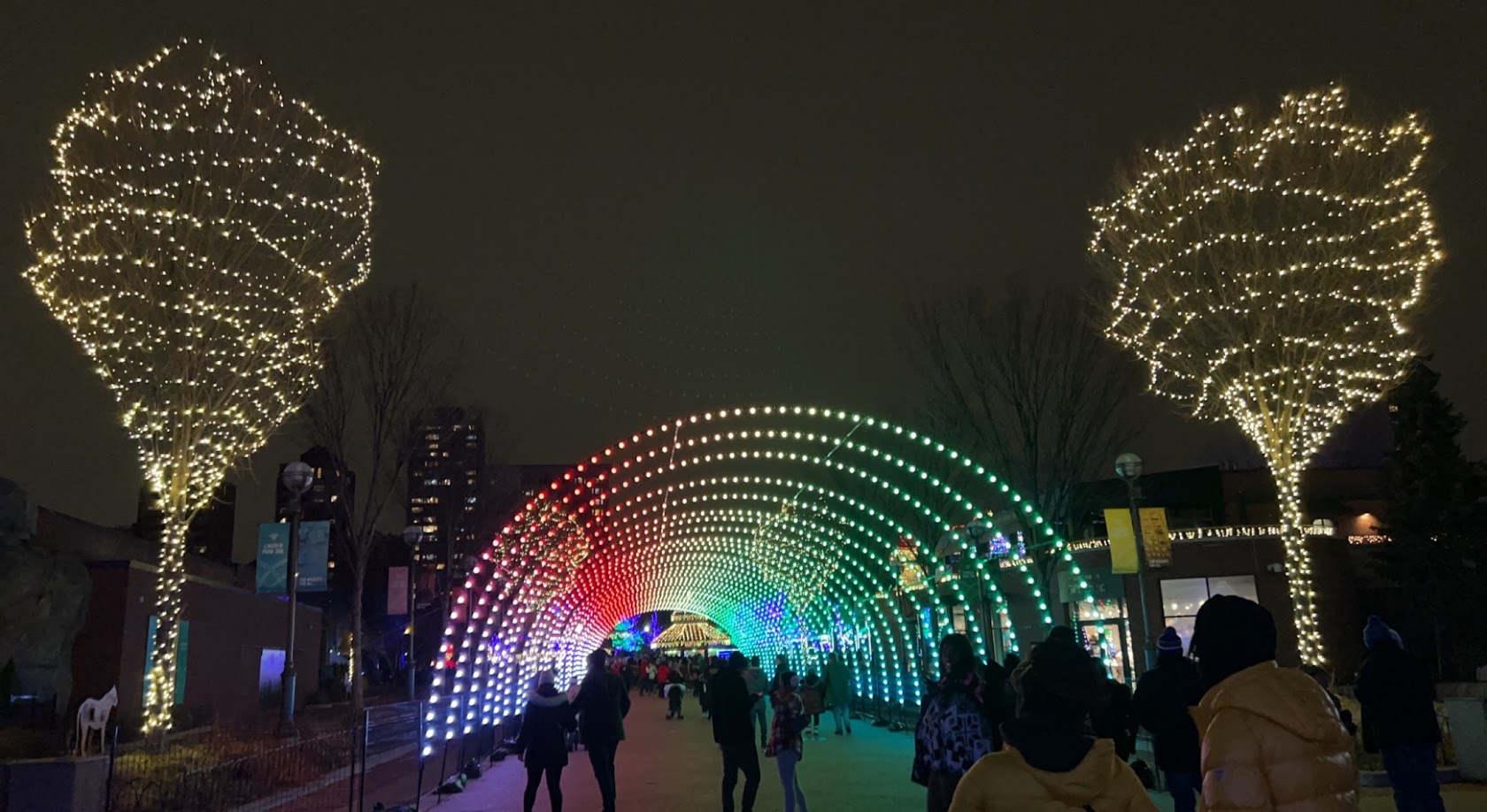 Lincoln Park Zoolights
