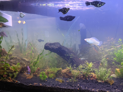 Pet Supply Store «Pet Supplies Plus», reviews and photos, 2111 Court St, Pekin, IL 61554, USA