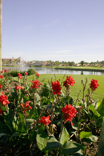 Golf Course «Orange Lake Golf», reviews and photos, 8505 W Irlo Bronson Memorial Hwy, Kissimmee, FL 34747, USA