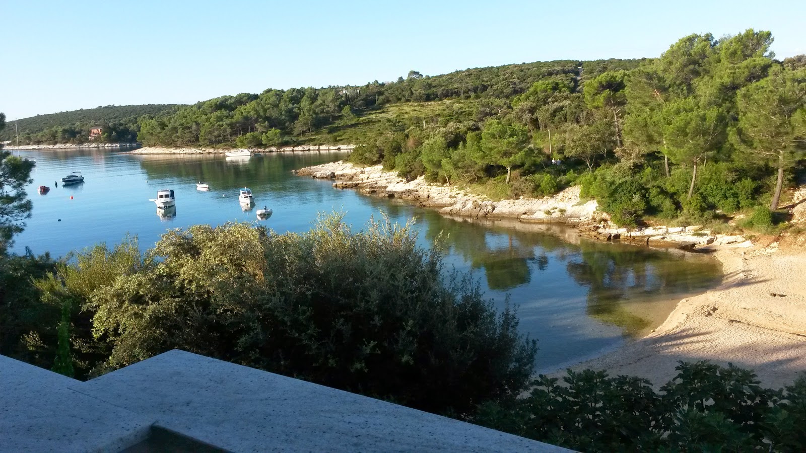 Photo of Plaza Venerica II wild area