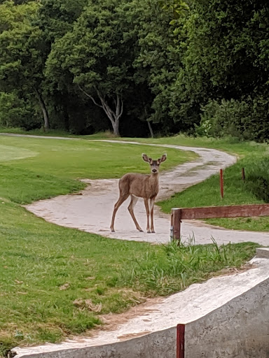 Golf Course «Spring Hills Golf Course», reviews and photos, 31 Smith Rd, Watsonville, CA 95076, USA