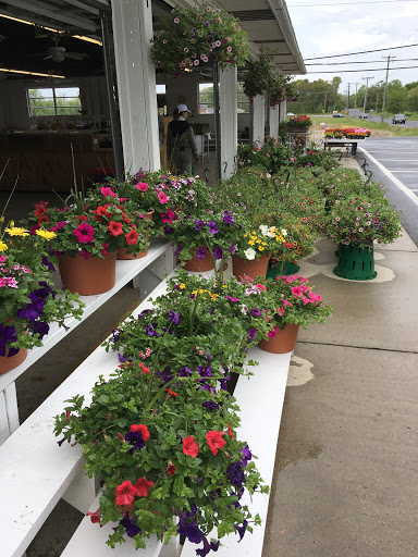 Produce Market «Stella Farms», reviews and photos, 459 Berlin New Freedom Rd, Berlin, NJ 08009, USA