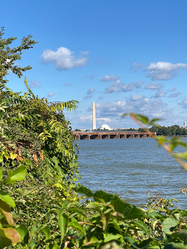 Park «Long Bridge Park», reviews and photos, 475 Long Bridge Drive, Arlington, VA 22202, USA