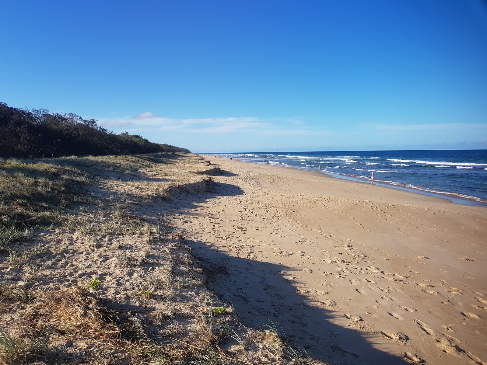 Mudjimba Beach photo #8