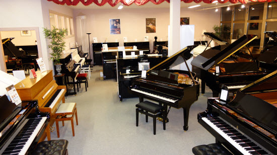 Rezensionen über Centre Schmidt Pianos in Nyon - Musikgeschäft