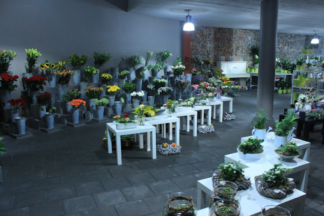 Den Bloeme Winkel - Bloemist