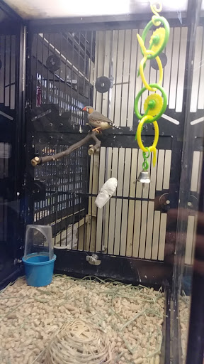 Pet Supply Store «PetSmart», reviews and photos, 2718 Legends Pkwy, Prattville, AL 36066, USA