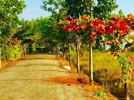 Google Maps image 14